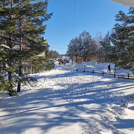 Hotel La Dora Mountain 3*